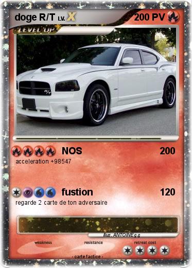 Pokemon doge R/T
