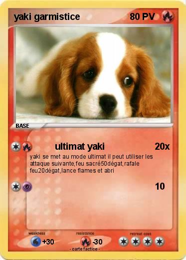 Pokemon yaki garmistice