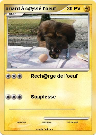 Pokemon briard à c@ssé l'oeuf