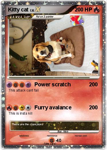 Pokemon Kitty cat