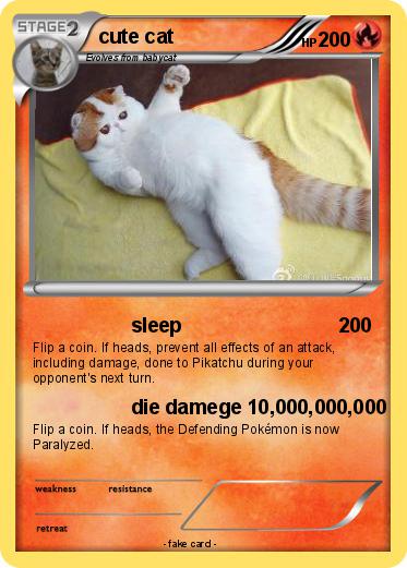 Pokemon cute cat