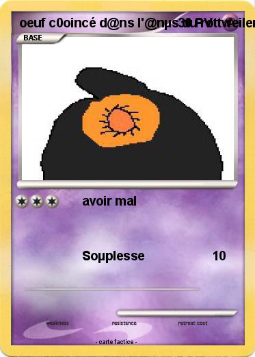 Pokemon oeuf c0oincé d@ns l'@nµs du rottweiler