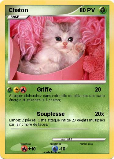 Pokemon Chaton