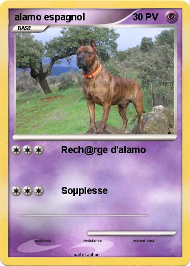 Pokemon alamo espagnol