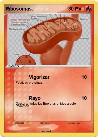 Pokemon Ribosomas.