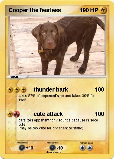Pokemon Cooper the fearless