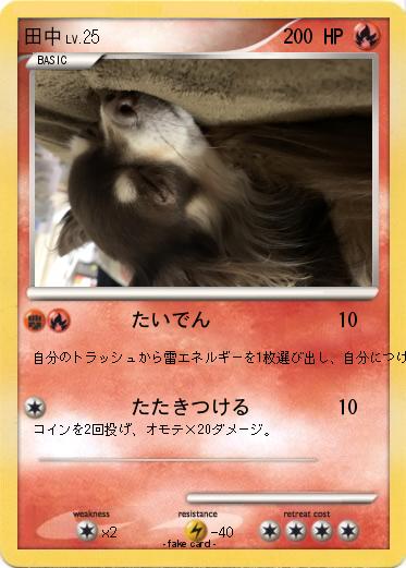 Pokemon 田中