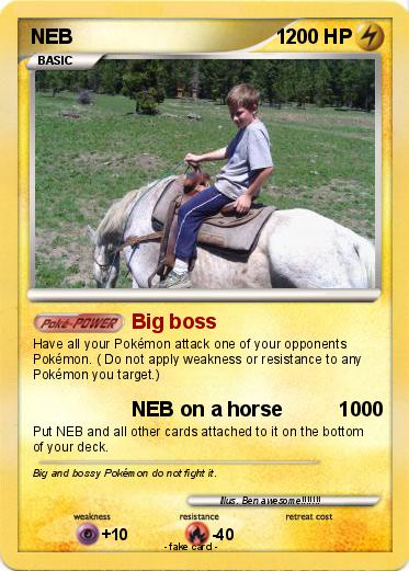 Pokemon NEB                                    1