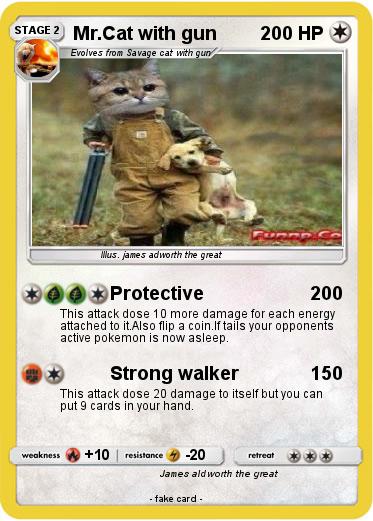 Pokemon Mr.Cat with gun