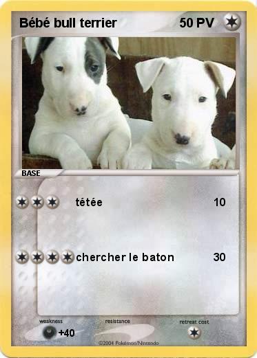 Pokemon Bébé bull terrier