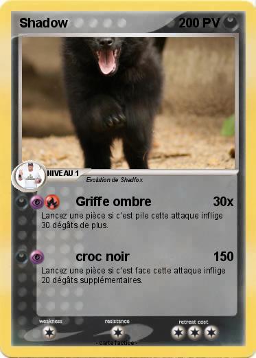 Pokemon Shadow