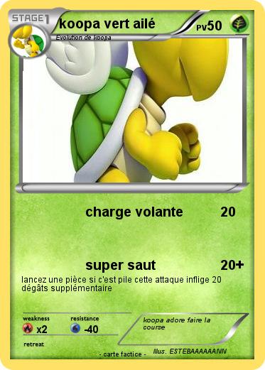 Pokemon koopa vert ailé