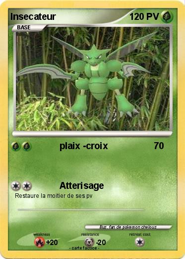 Pokemon Insecateur