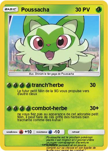 Pokemon Poussacha