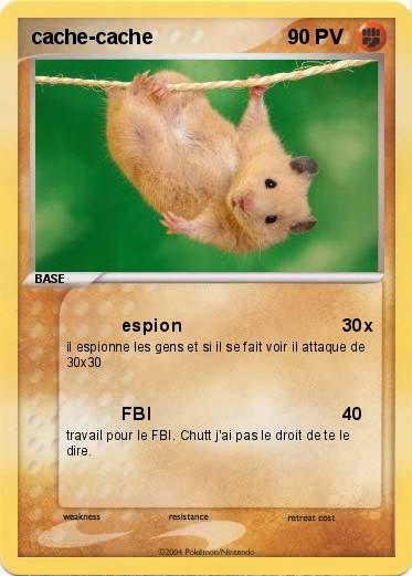 Pokemon cache-cache