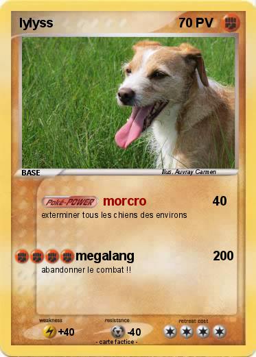 Pokemon lylyss