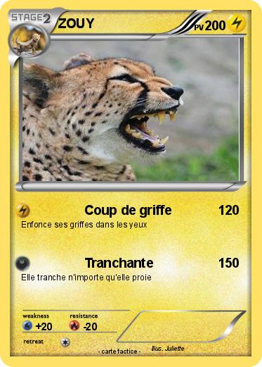 Pokemon ZOUY