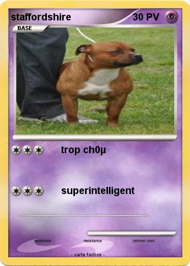 Pokemon staffordshire
