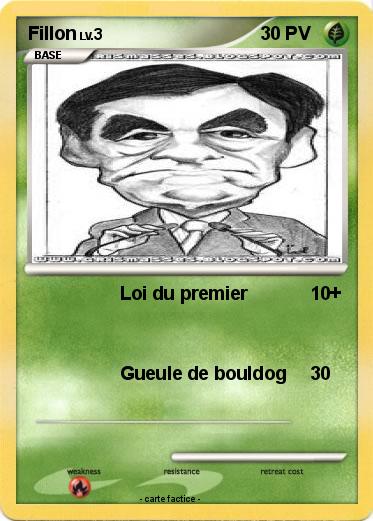 Pokemon Fillon