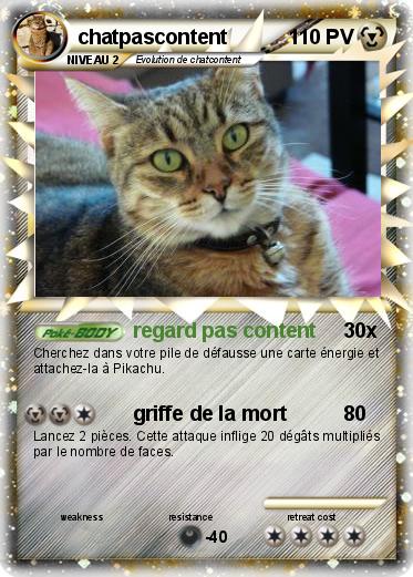 Pokemon chatpascontent