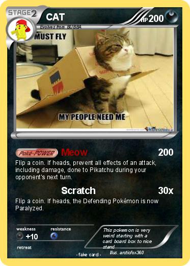 Pokemon CAT