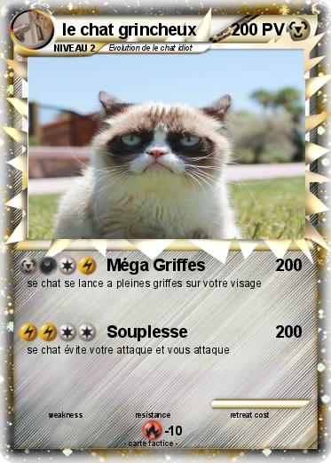 Pokemon le chat grincheux