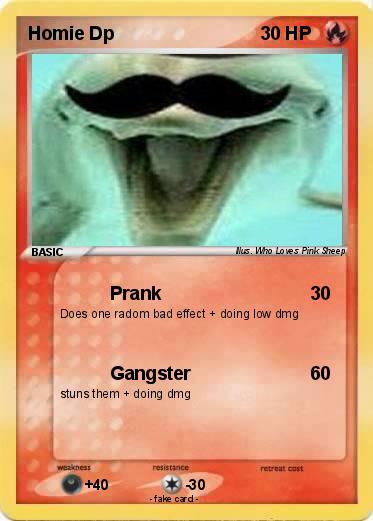 Pokemon Homie Dp