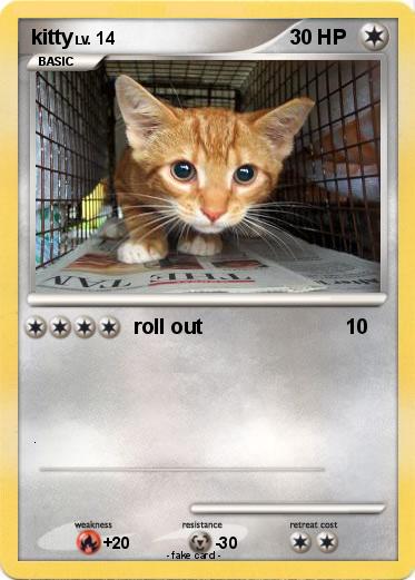 Pokemon kitty