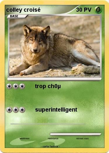 Pokemon colley croisé