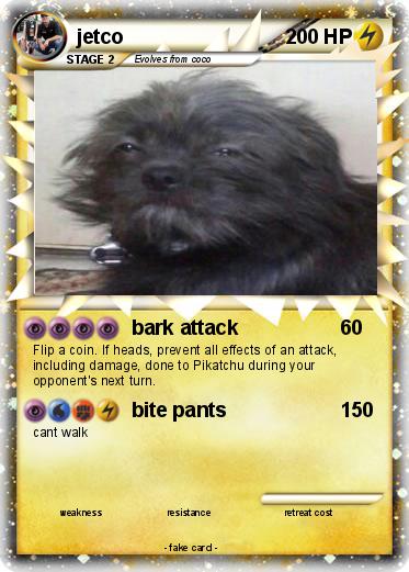 Pokemon jetco