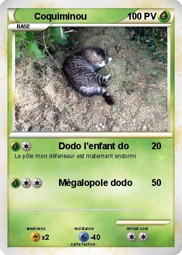Pokemon Coquiminou