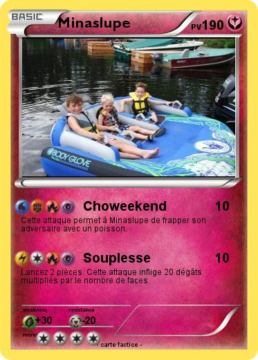 Pokemon Minaslupe