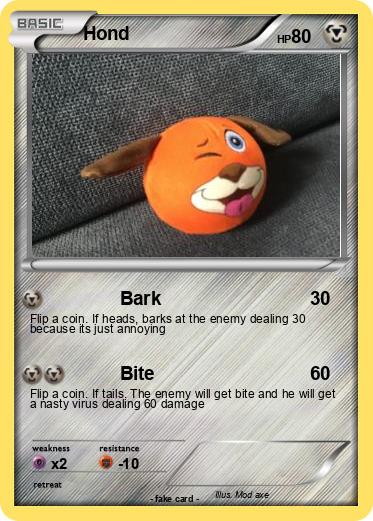 Pokemon Hond