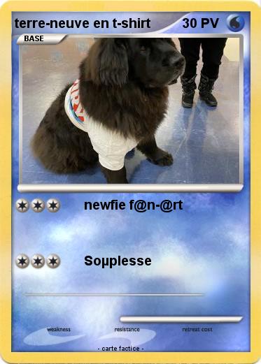 Pokemon terre-neuve en t-shirt