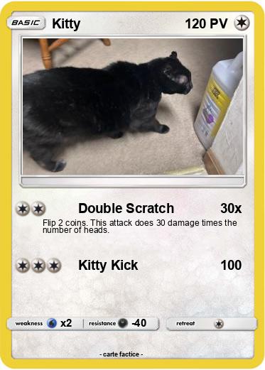 Pokemon Kitty