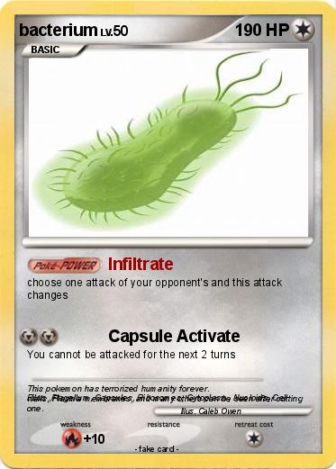 Pokemon bacterium