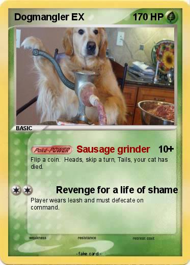 Pokemon Dogmangler EX