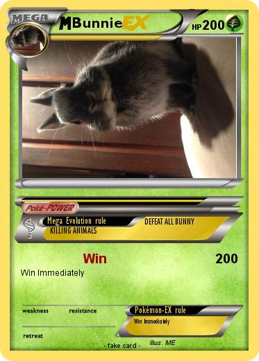 Pokemon Bunnie