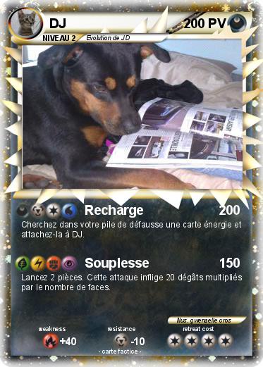 Pokemon DJ