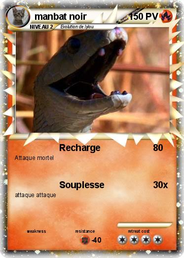 Pokemon manbat noir