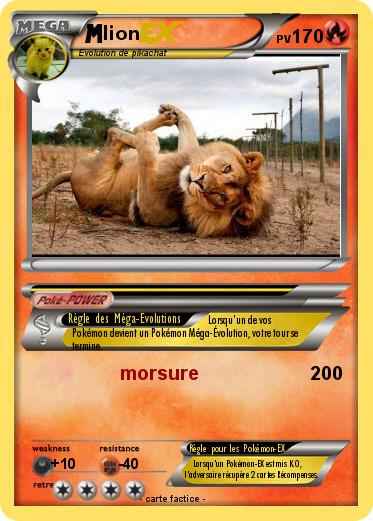 Pokemon lion