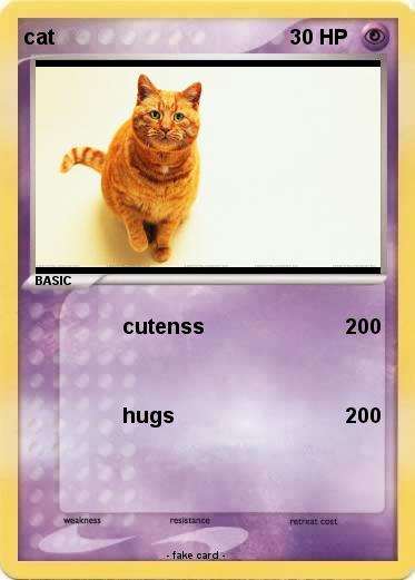 Pokemon cat