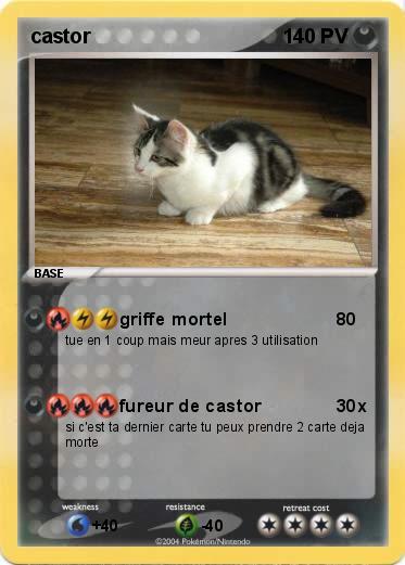 Pokemon castor