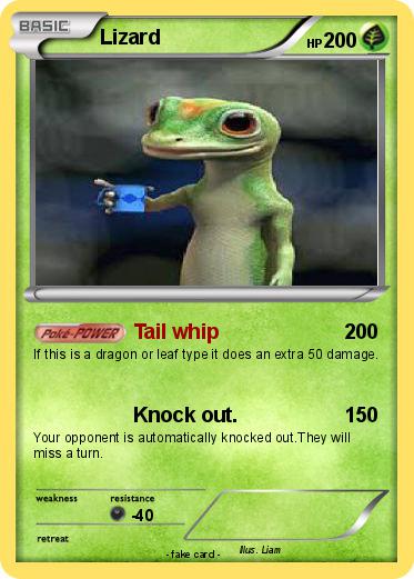 Pokemon Lizard