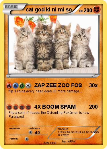 Pokemon cat god ki ni mi so