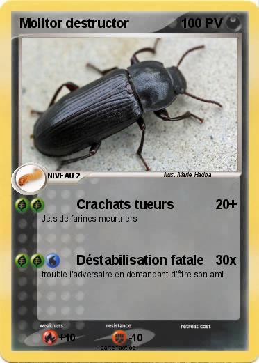 Pokemon Molitor destructor