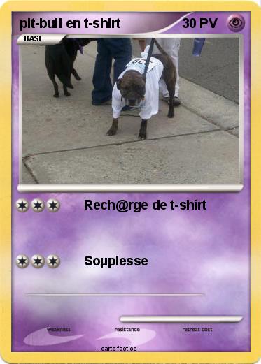 Pokemon pit-bull en t-shirt