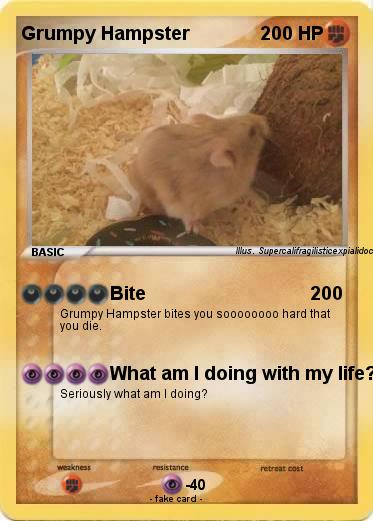 Pokemon Grumpy Hampster