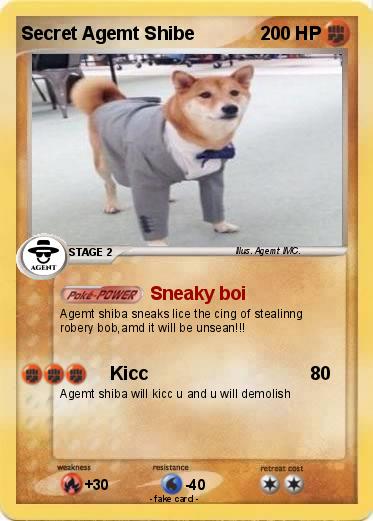 Pokemon Secret Agemt Shibe