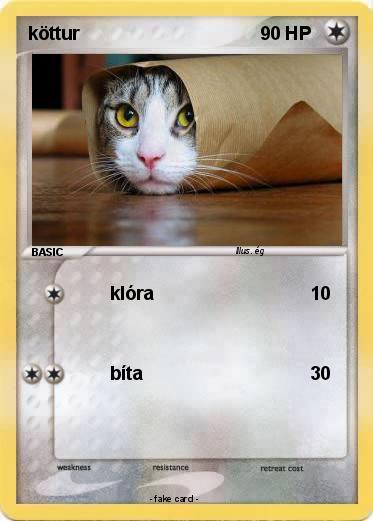 Pokemon köttur